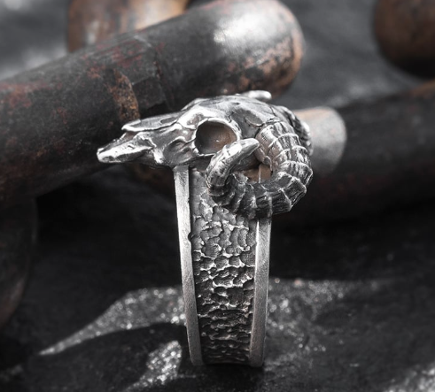 Warden Ring